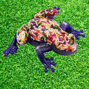 Purple Glitter Graffiti Frog #1782